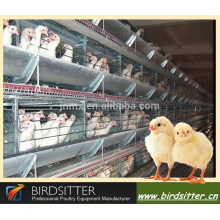 Nouvelle vente chaude d&#39;oeufs automatiques poulet ferme couche cage